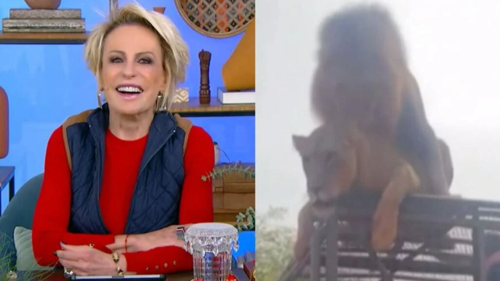 Ana Maria Braga diverte web com comentários sobre acasalamento de leões