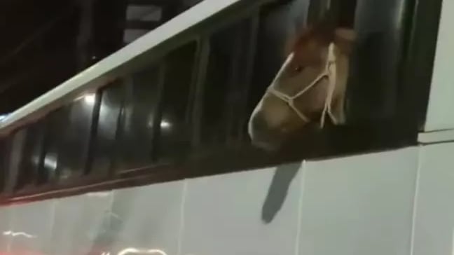 Veículo é adaptado, segundo relatou testemunha