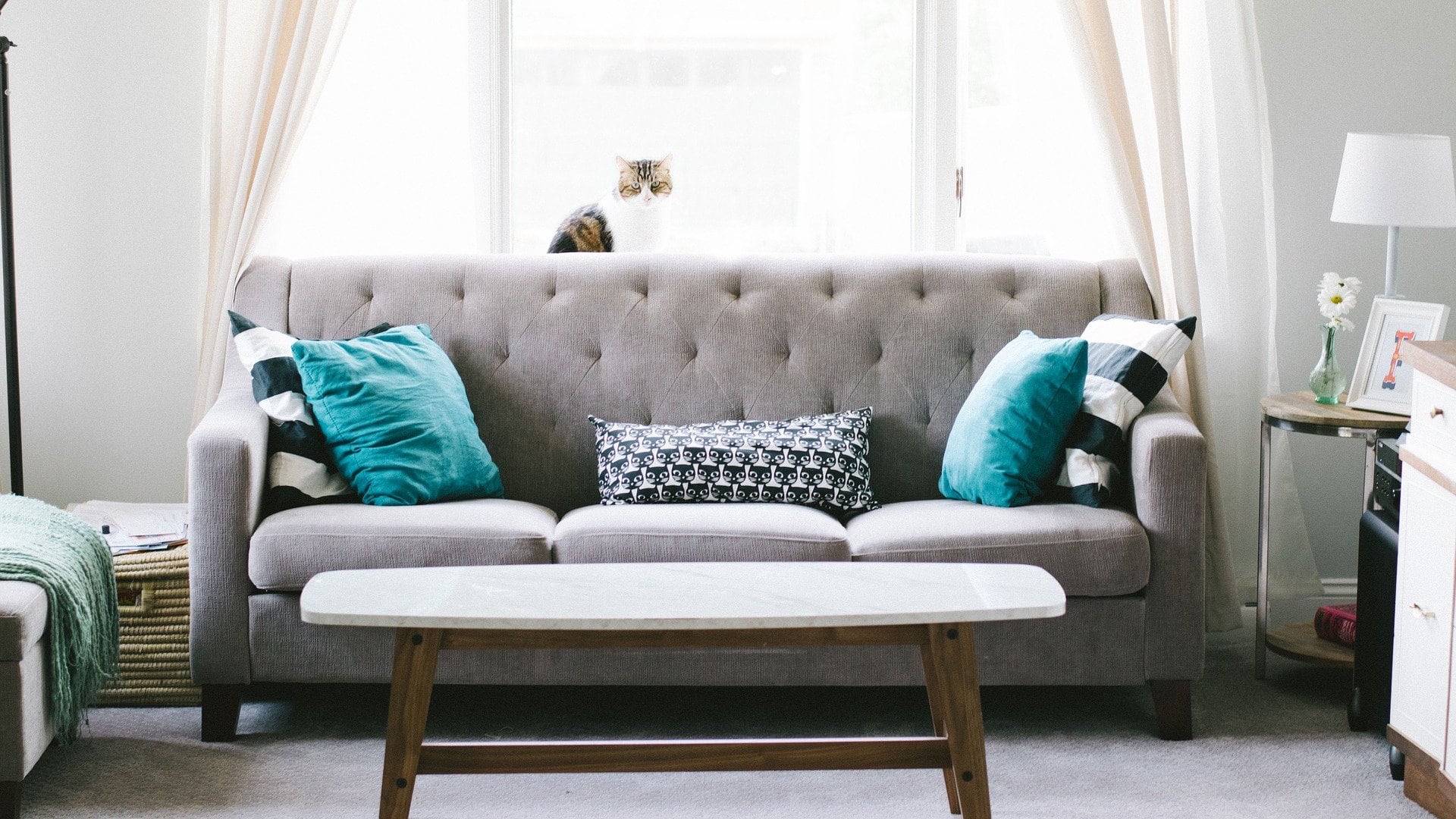 Almofadas: veja essas dicas para não errar na hora de decorar o seu sofá