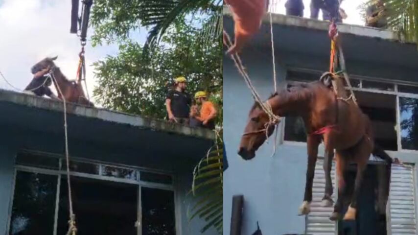 Divulgação/Defesa Civil
