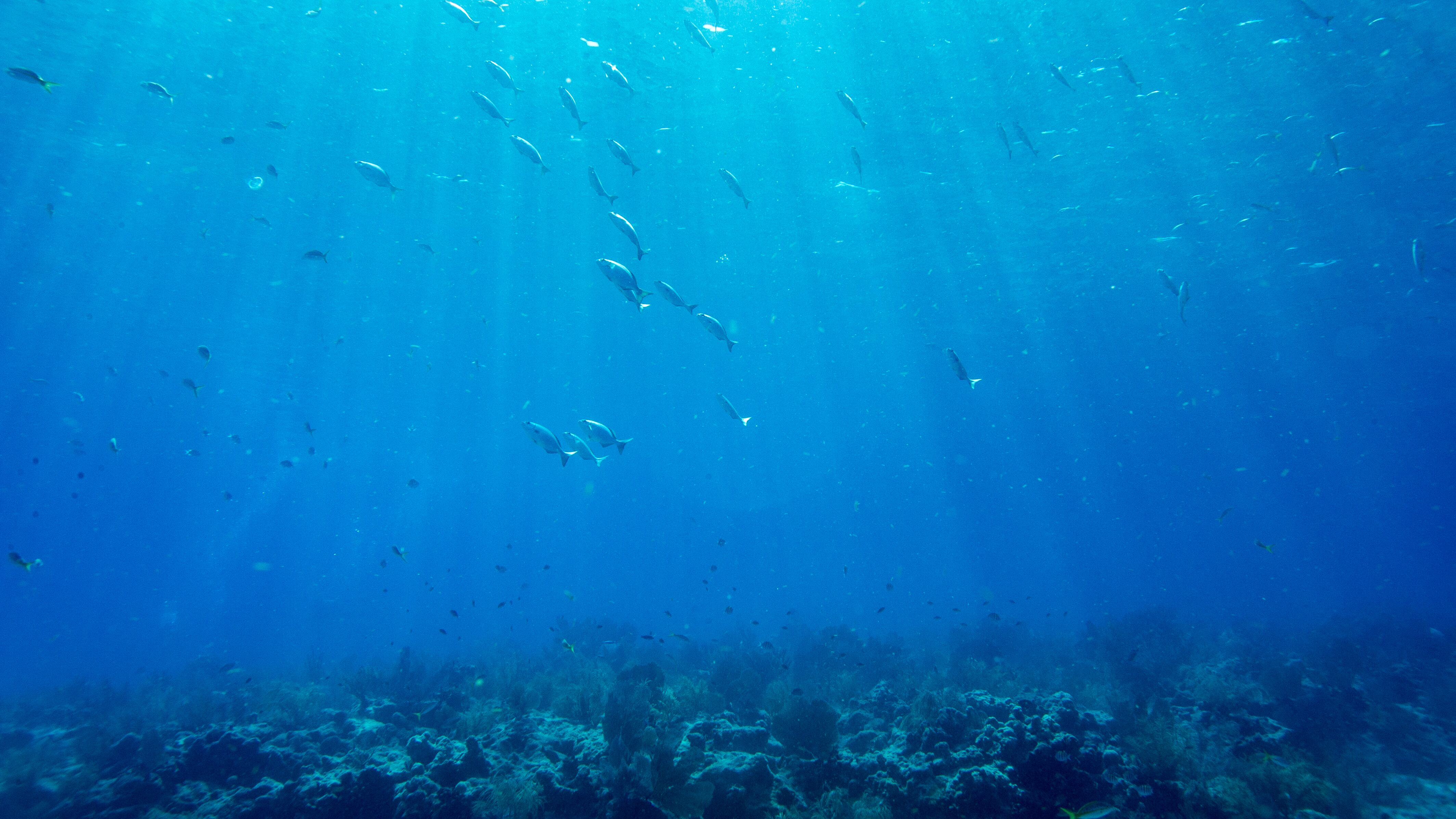 Mar de Florida / AFP