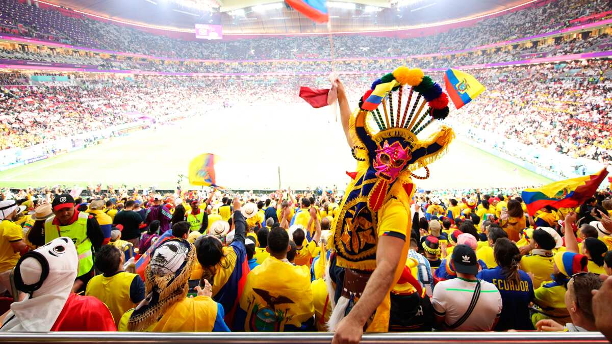 Abertura Copa do Catar