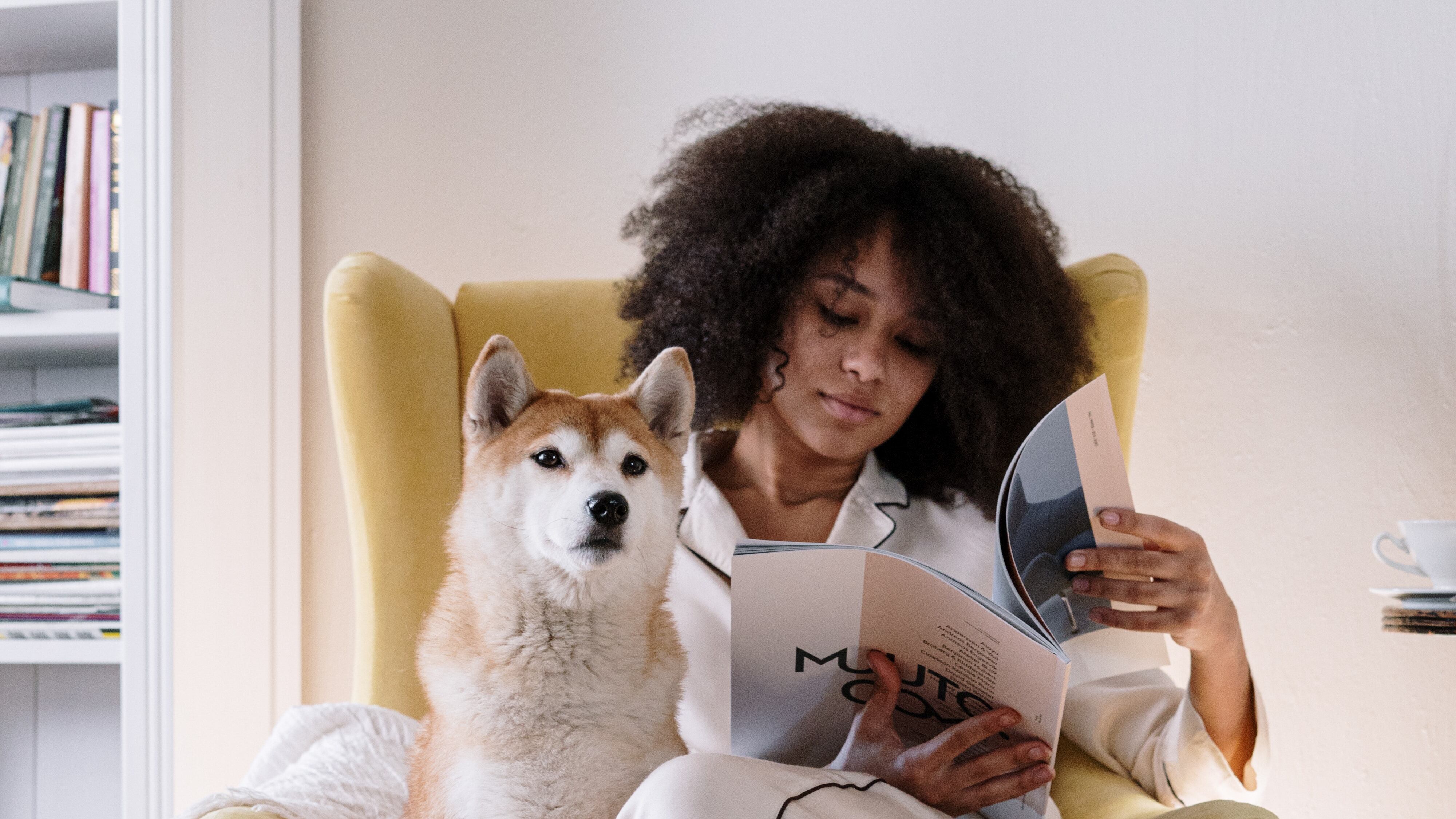 Cachorro sentado em cadeira com mulher lendo