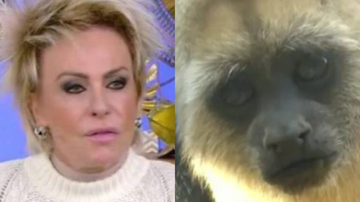 Ana Maria Braga anuncia demissão de funcionário após erro em pauta de racismo