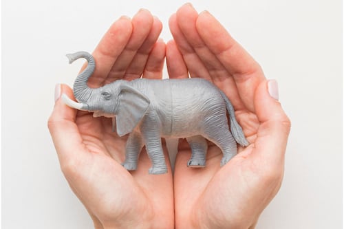 Atraia abundância neste Natal: este animal sagrado do Feng Shui pode mudar a energia da sua casa