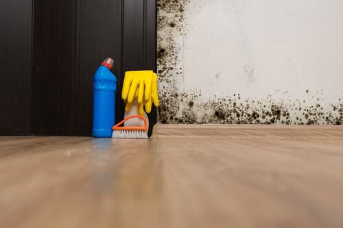 Misturinha caseira maravilhosa para remover mofo da parede; com apenas 2 itens