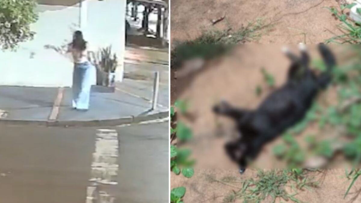 Mulher responde por crimes contra o meio ambiente, especificamente abuso a animais.