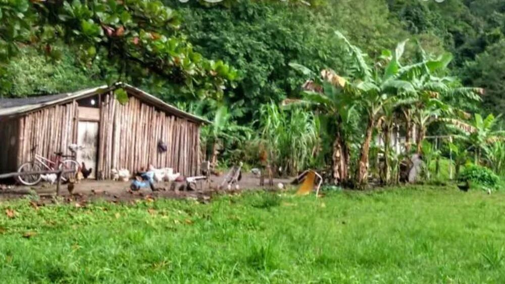 Criança segue internada