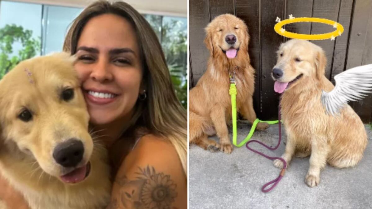 Polícia Civil apura o caso e o homem deverá responder por maus-tratos a animais.