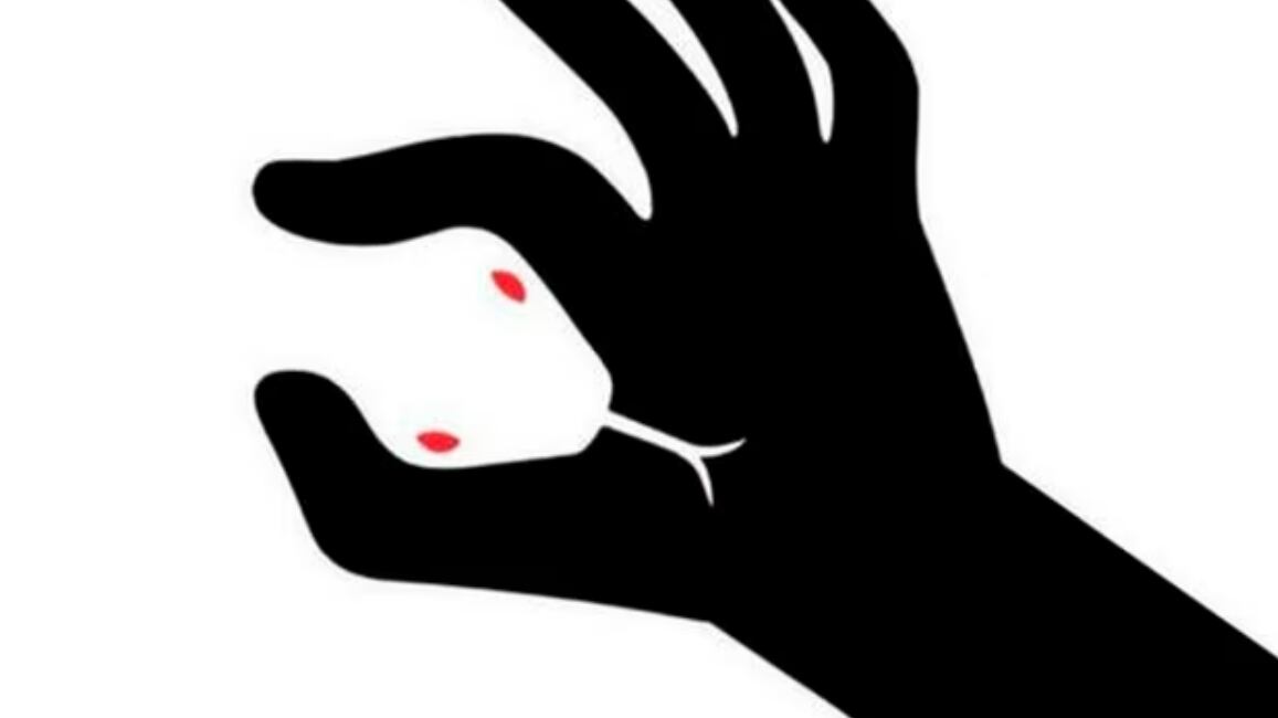 O que você vê primeiro nesta ilusão de ótica revela traços ocultos de sua personalidade