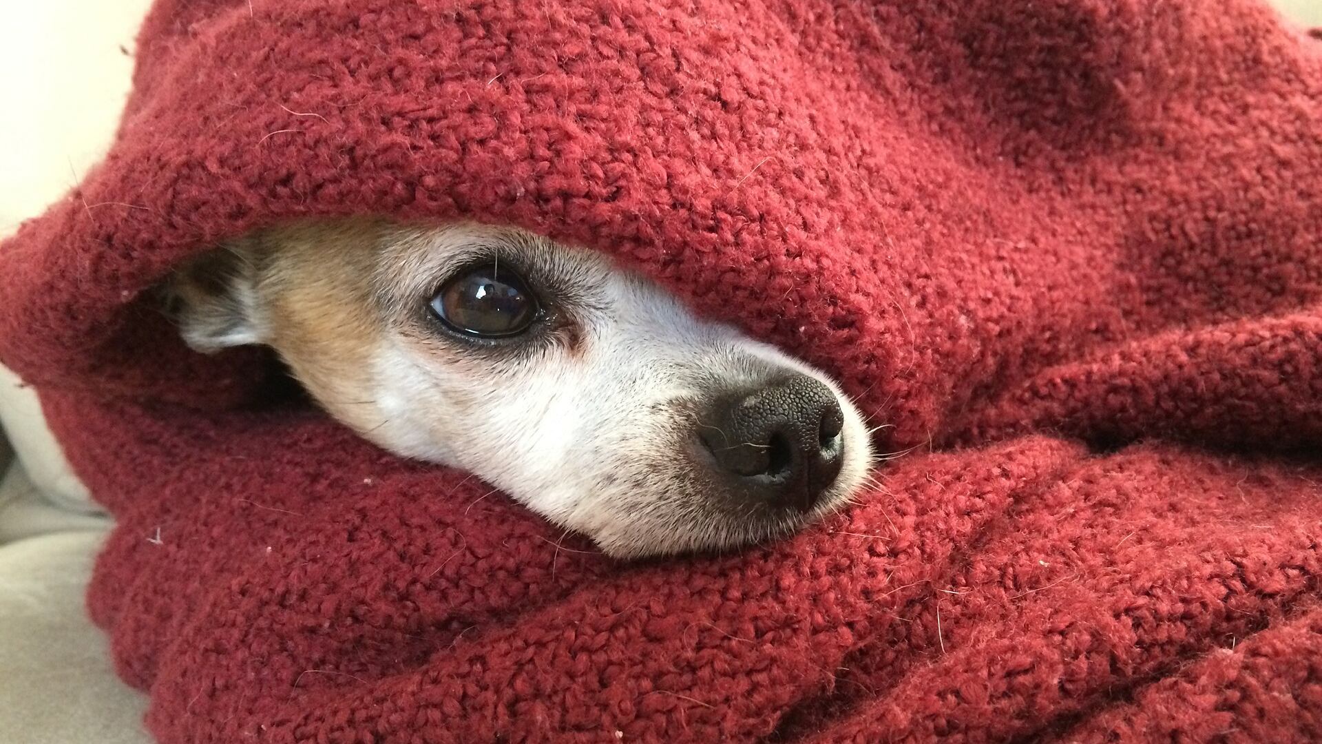 Fim de semana terá "cara de preguiça" na cidade de São Paulo