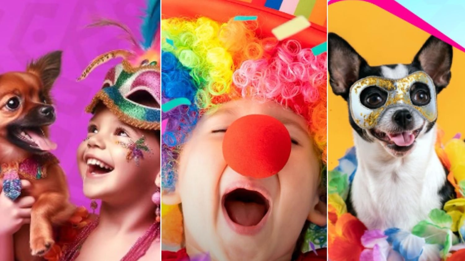 Veja algumas programações