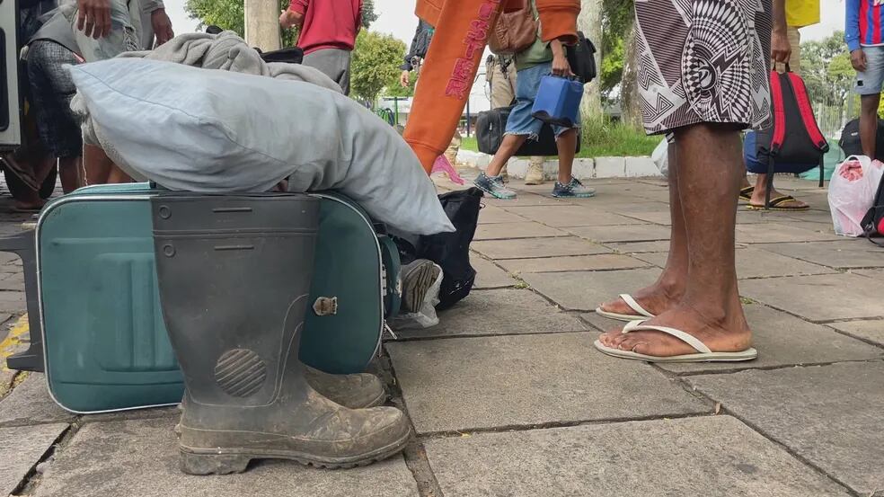 Vinícola pede desculpas por usar mão de obra análoga à escravidão