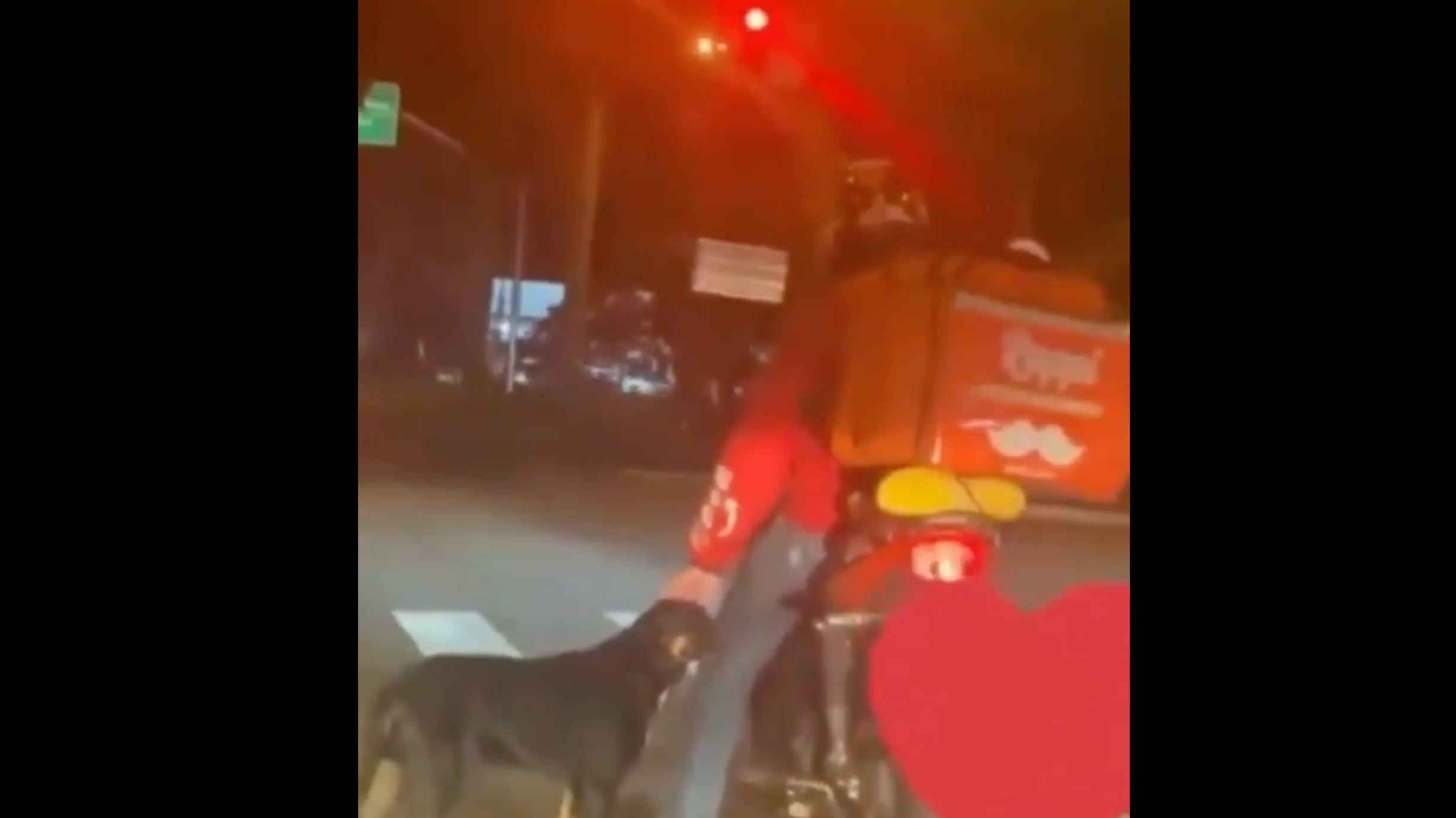 Vídeo registra entregador de app aproveitando parada em semáforo para fazer carinho em ‘vira-lata carente’; momento se tornou viral nas redes sociais