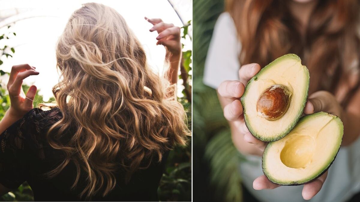 El aguacate tiene propiedades que ayudan a reparar el cabello seco y maltratado