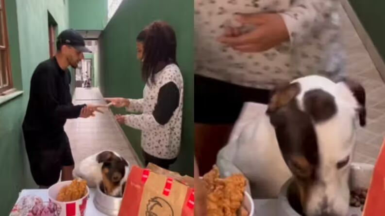 Foto: @casalcesarin/Instagram