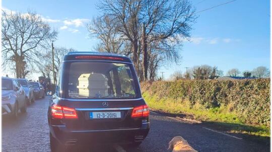 Cadela segue enterro da dona