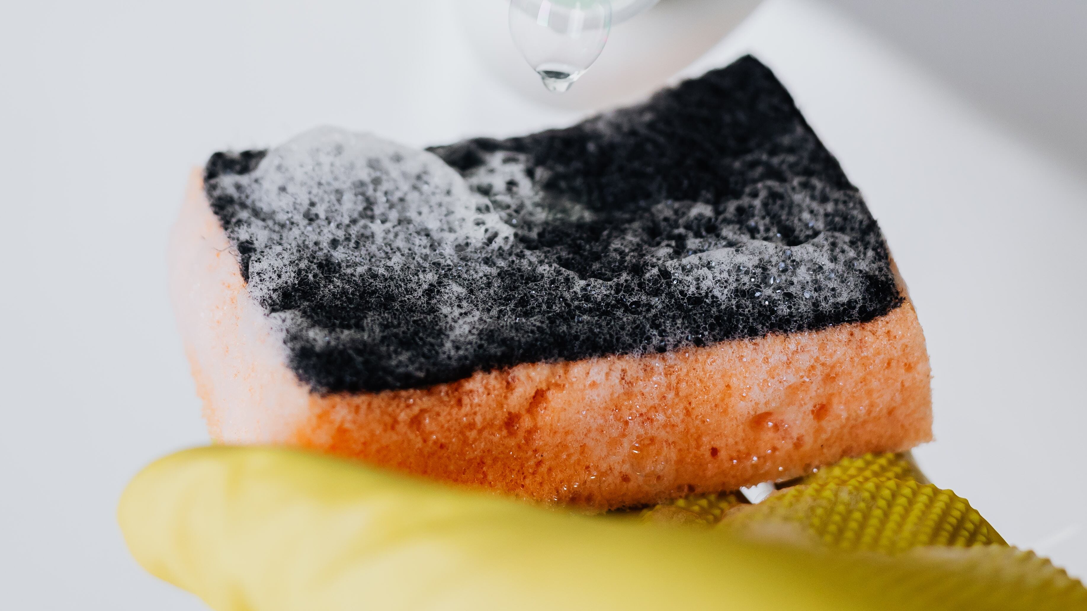 Esponja de lavar-louças