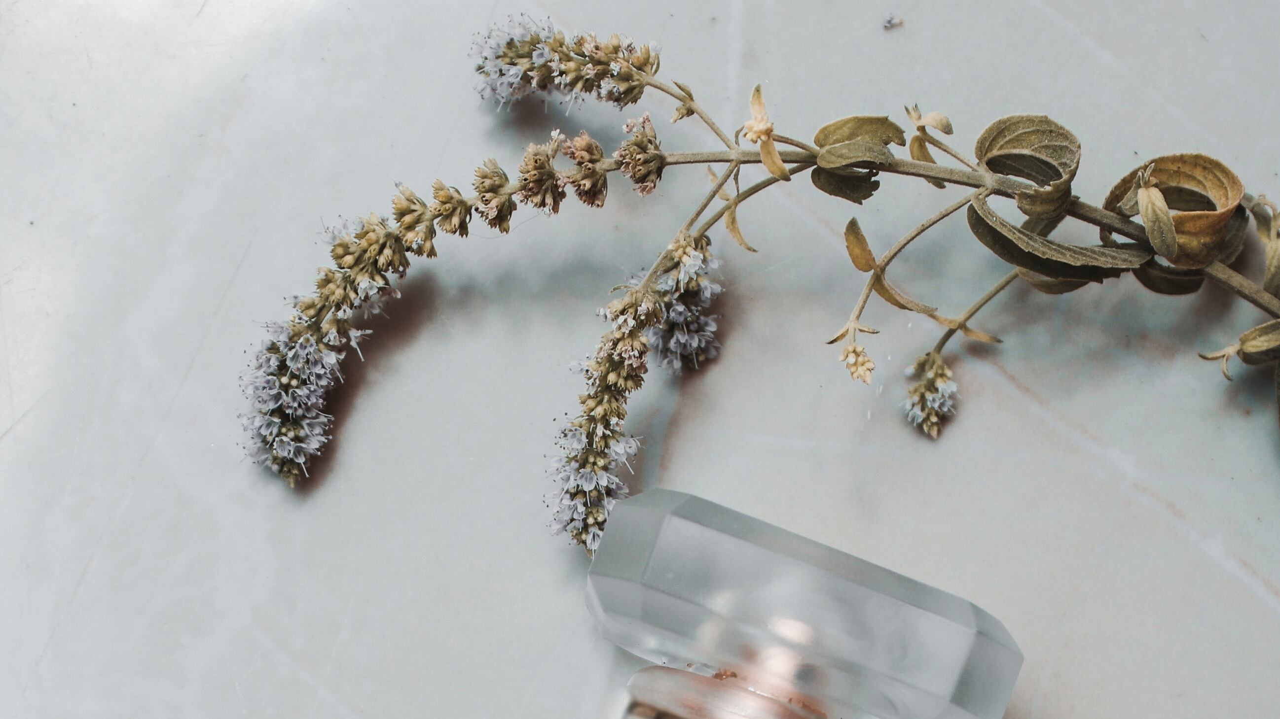 Frasco de perfume Coco Mademoiselle, de Chanel