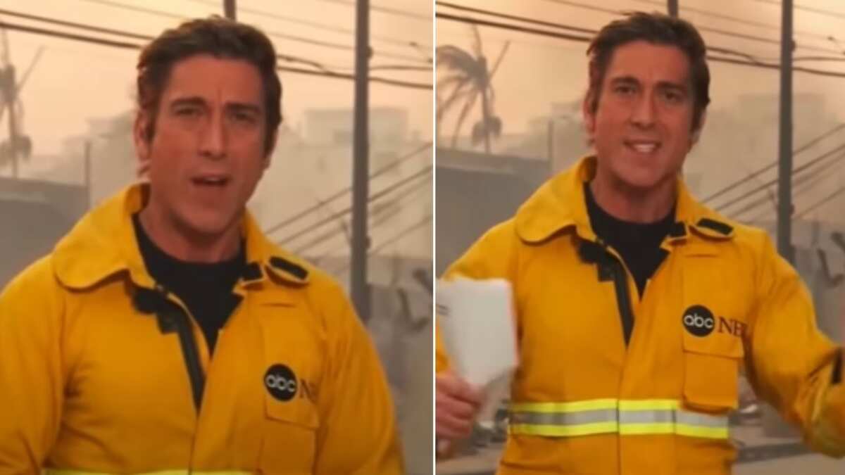 "Avergonzados y horrorizados": periodista se hace viral por su comportamiento "narcisista" al cubrir incendios