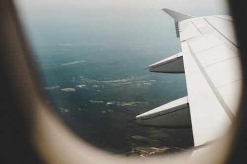 Viral: a quantidade de assentos que este cachorro precisou para viajar de avião