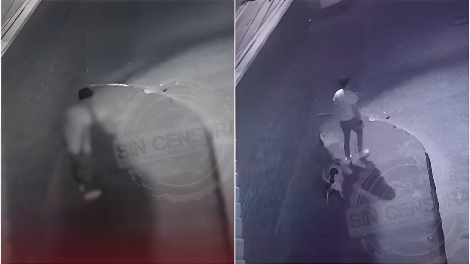 Imagens de câmera de segurança flagram revoltante caso de zoofilia em plena via pública