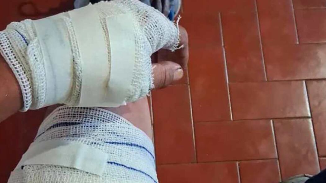 Dono do animal ajudou entregador.