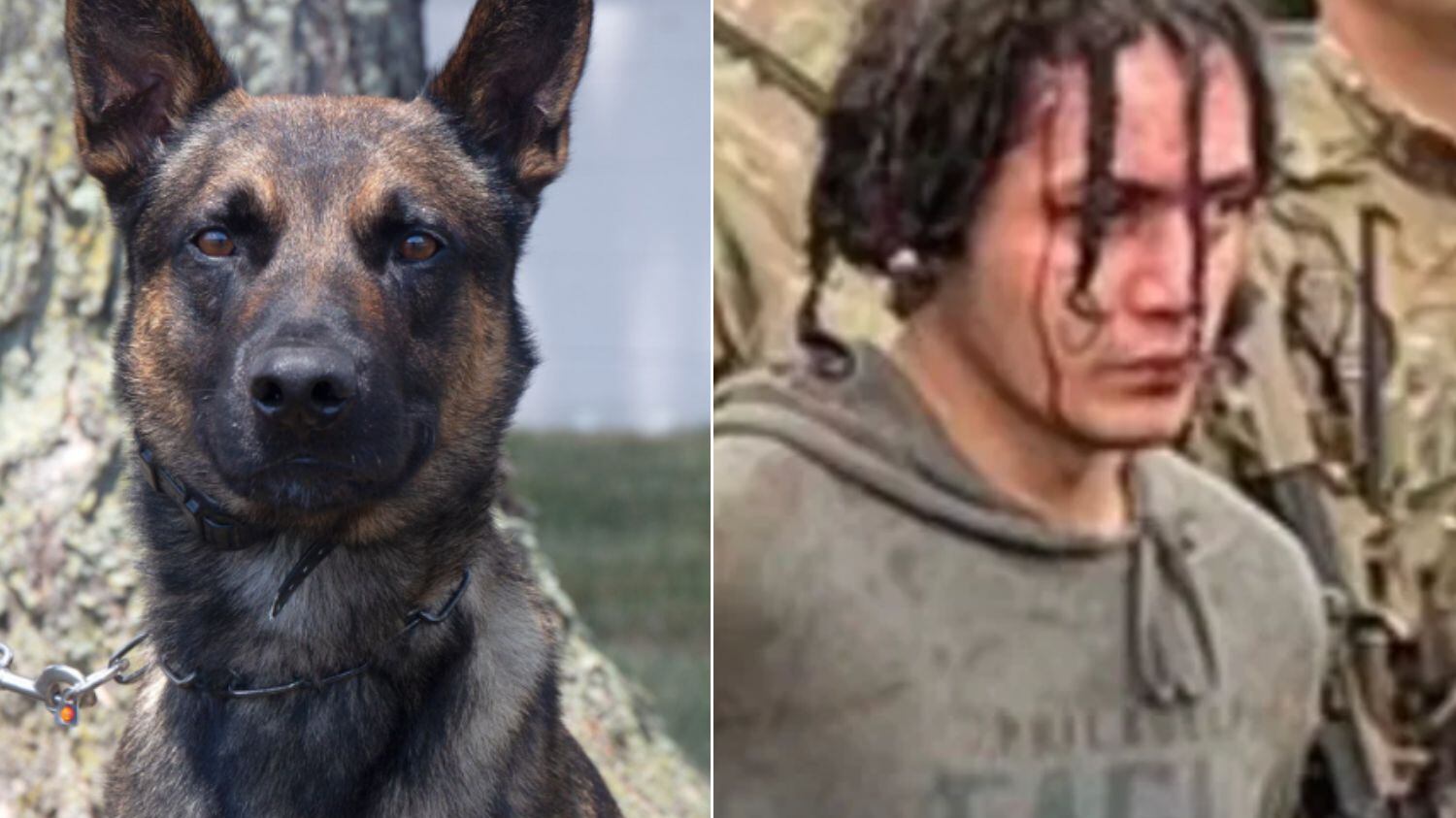 Ele passou 14 dias sempre 'caçado' pela polícia