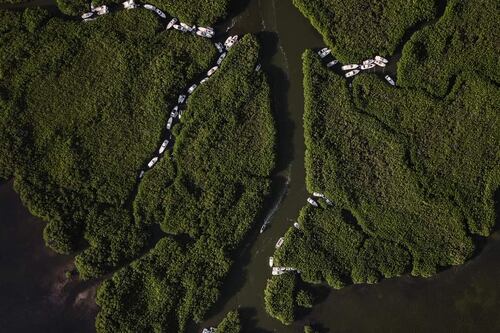 Para onde vão os iates de Cancún durante o furacão Beryl?