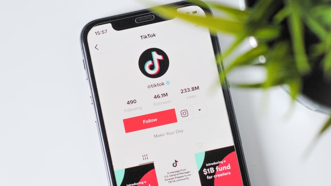 En TikTok abunda esta clase de retos creativos