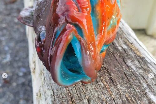 Incrível: Pescador do Alasca captura peixe de cores vibrantes e revela surpresa na cozinha