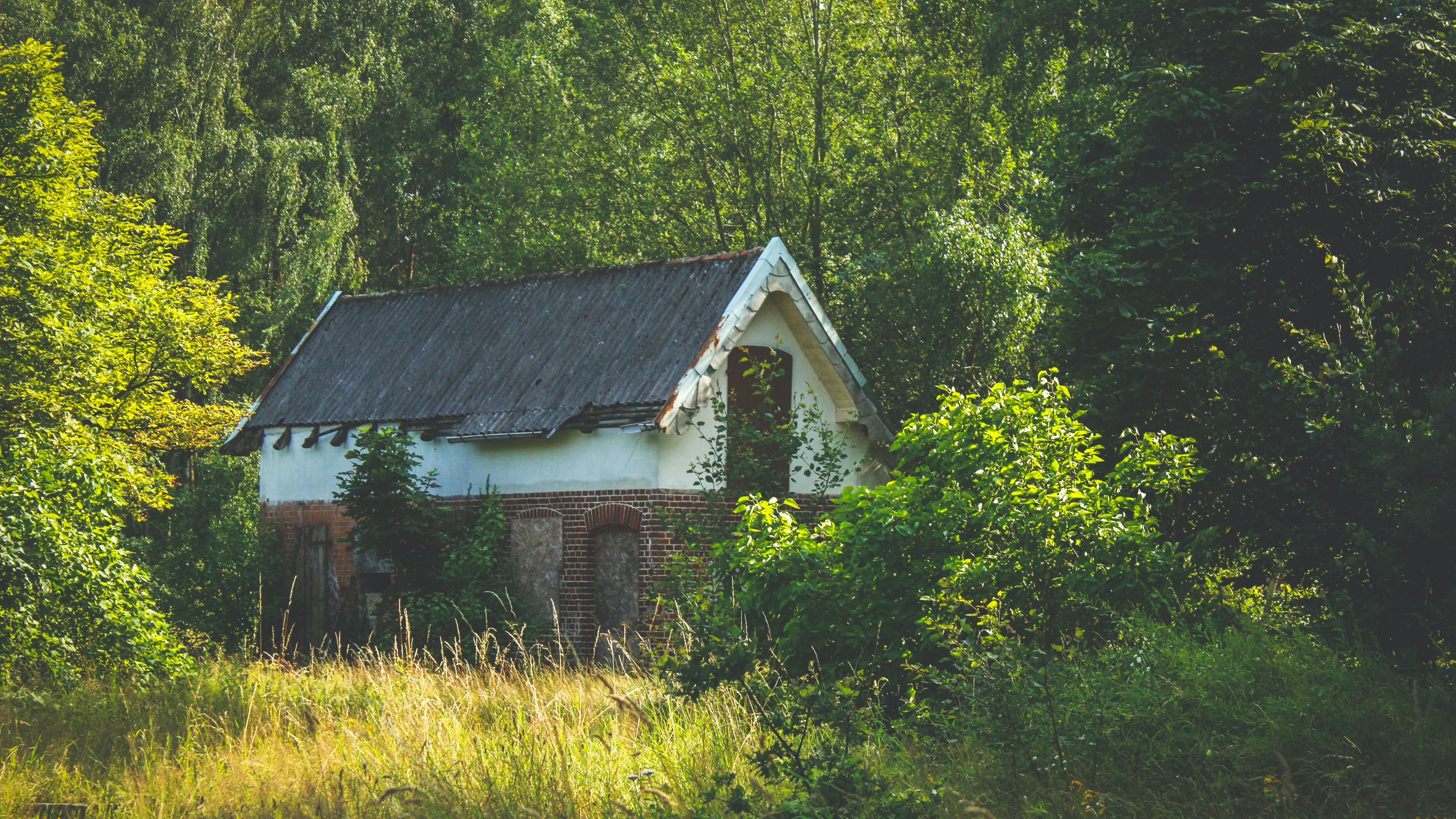 Casa abandonada no meio do mato