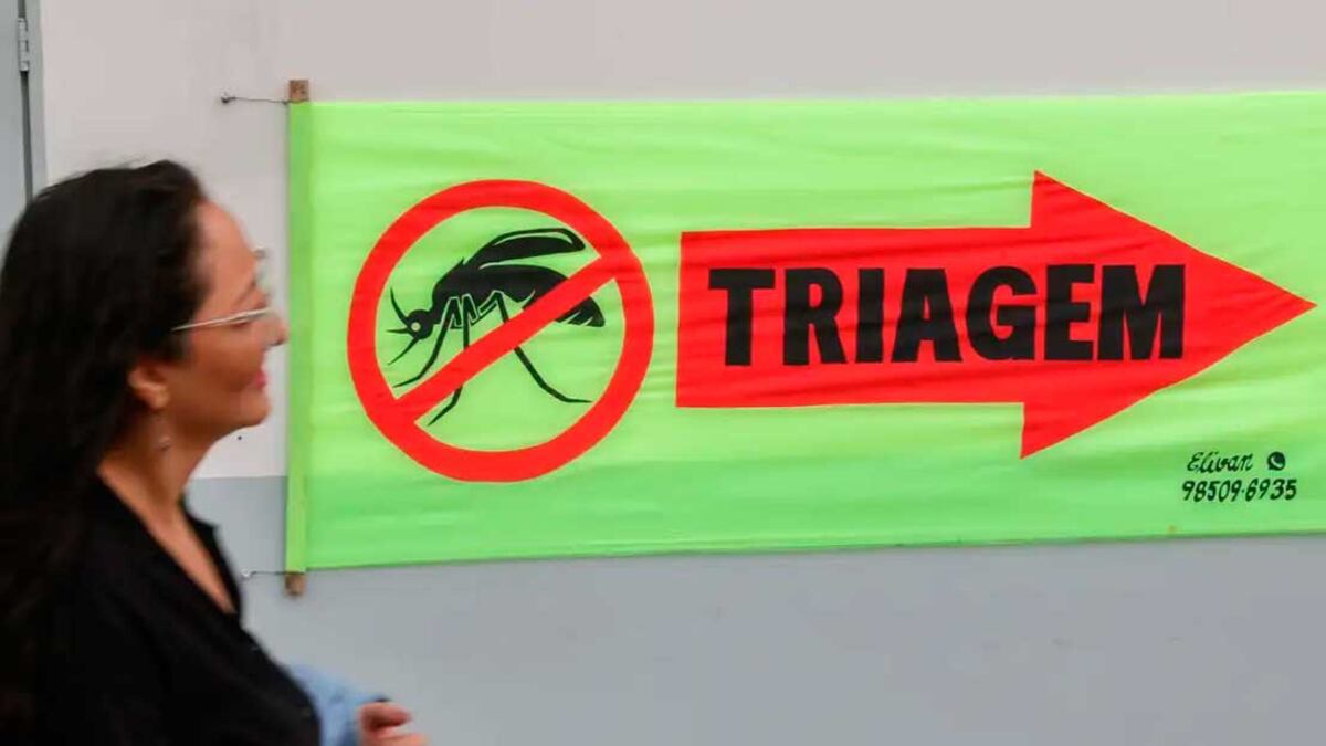 O vírus pertence à família dos flavivírus e possui quatro sorotipos: DENV-1, DENV-2, DENV-3 e DENV-4