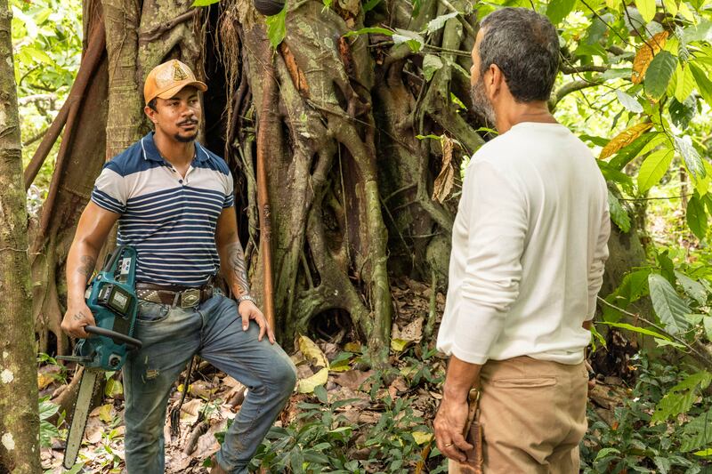 Renascer: José Inocêncio encontra Damião andando pela roça