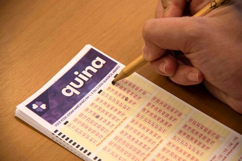 Resultado da Quina 6644: Saiba quais os números sorteados nesta quarta-feira (29/01)