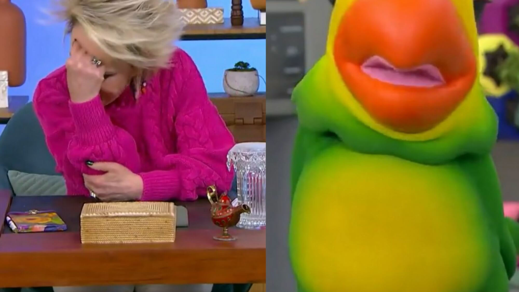 Louro Mané dá gafe e Ana Maria corta ele ao vivo