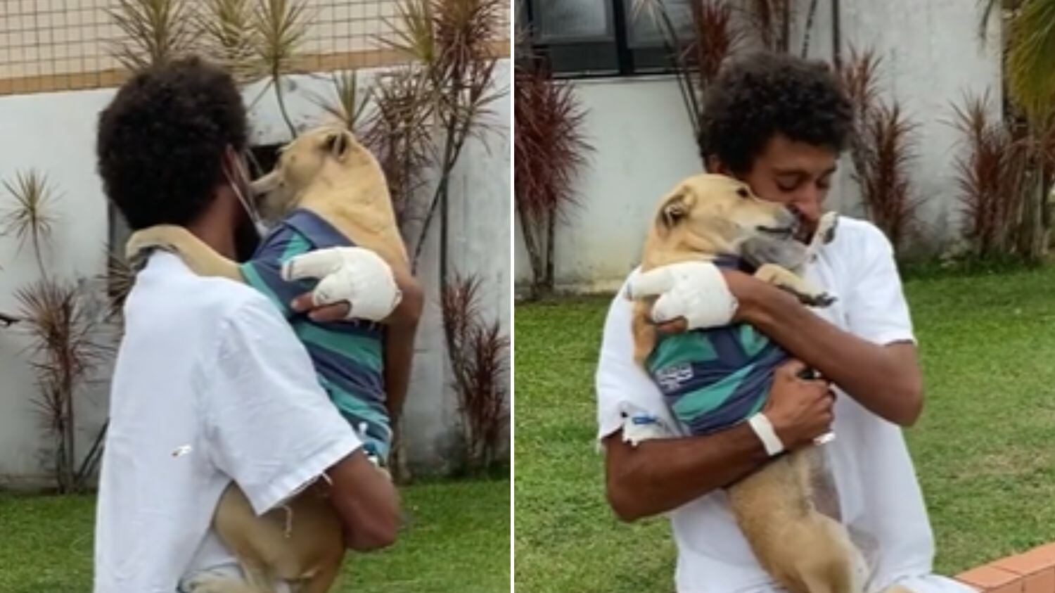 Cena ocorreu na Bahia