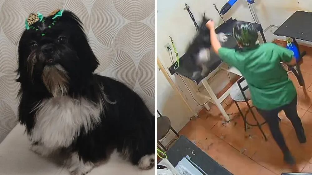 Polícia apura o caso