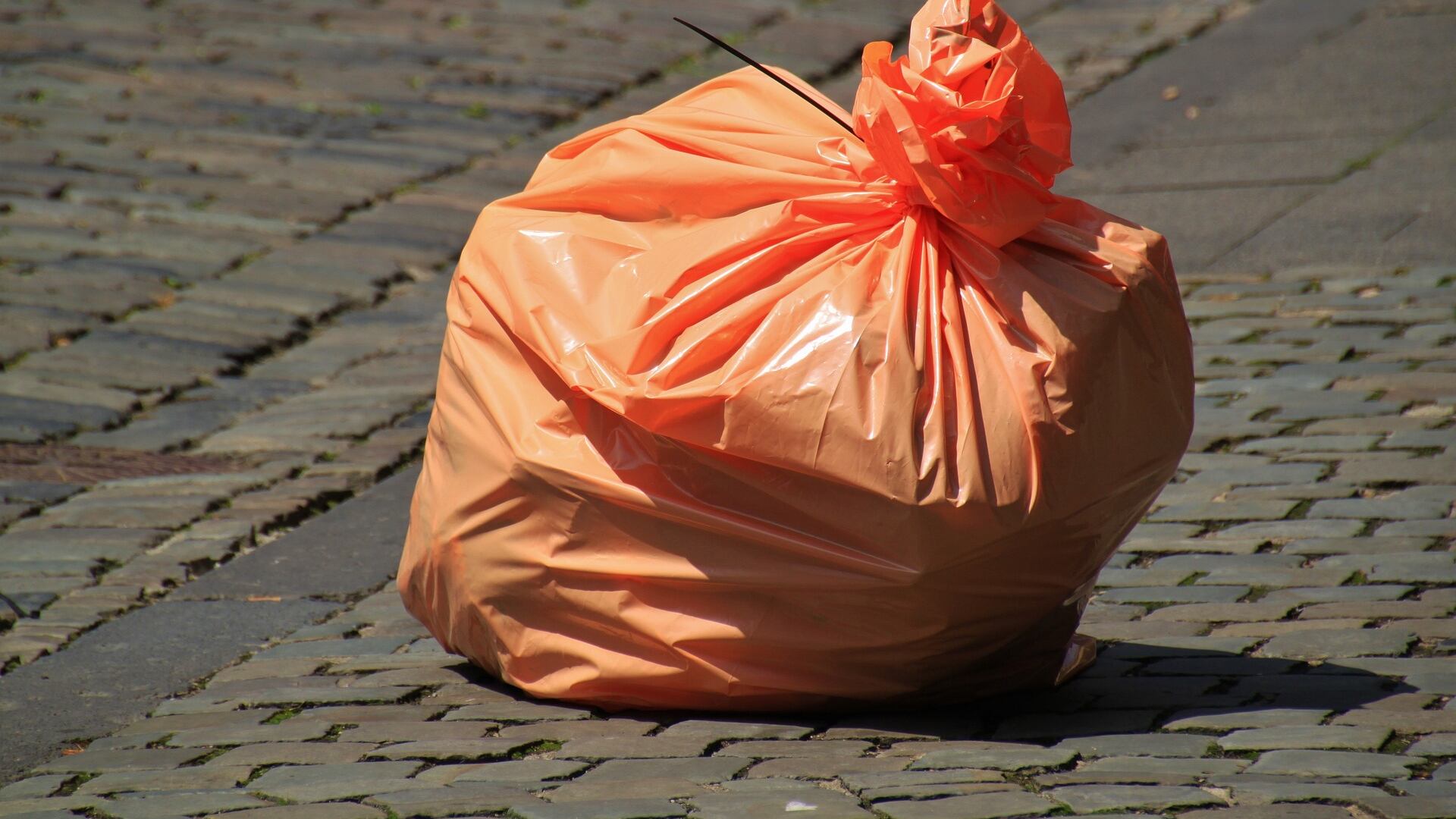 Irmãs são flagradas por câmera arrastando corpo de idoso dentro de saco plástico