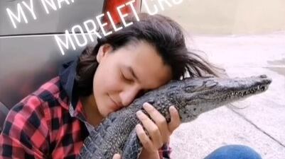 Homem cria crocodilo como se fosse animal de estimação