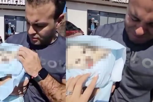 Veterinária entrega cadelinha morta após apenas ir para uma limpeza dental