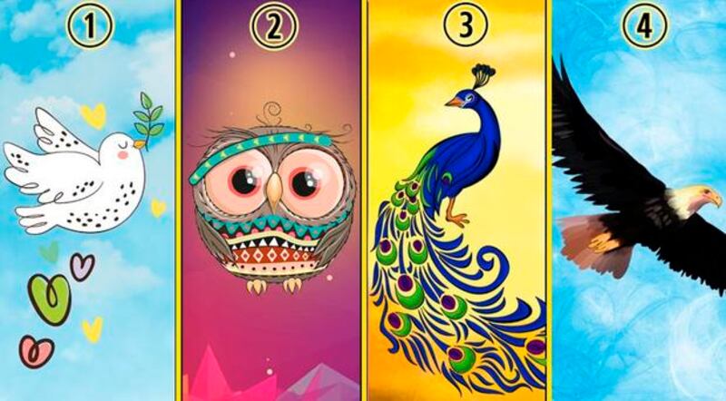 Escolha um número e ave colorida e descubra a revelação sobre você que isso traz