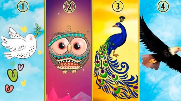 Escolha um número e ave colorida e descubra a revelação sobre você que isso traz