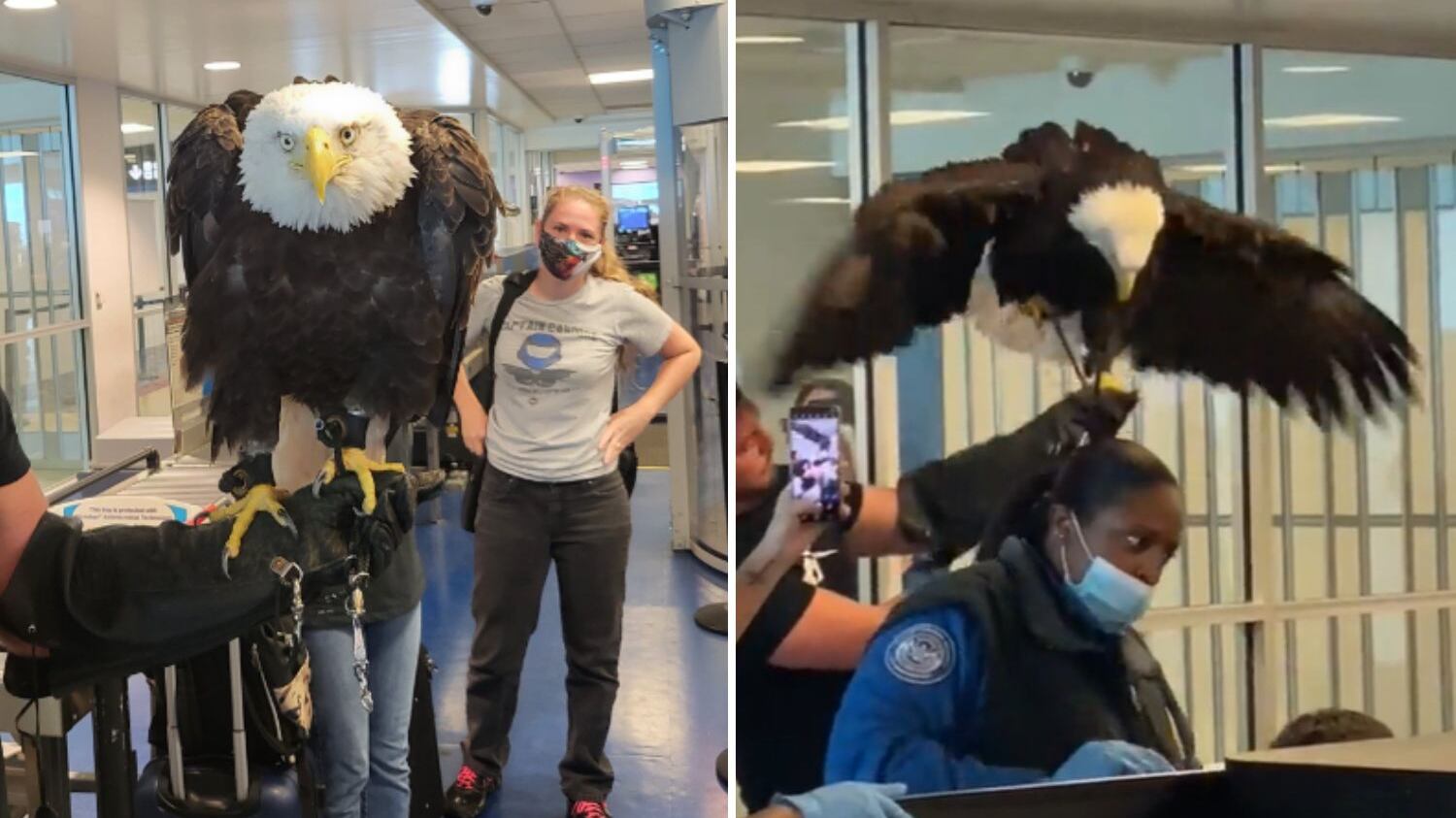 Cena chamou a atenção nas redes sociais