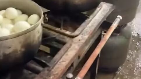 Vigilância Sanitária