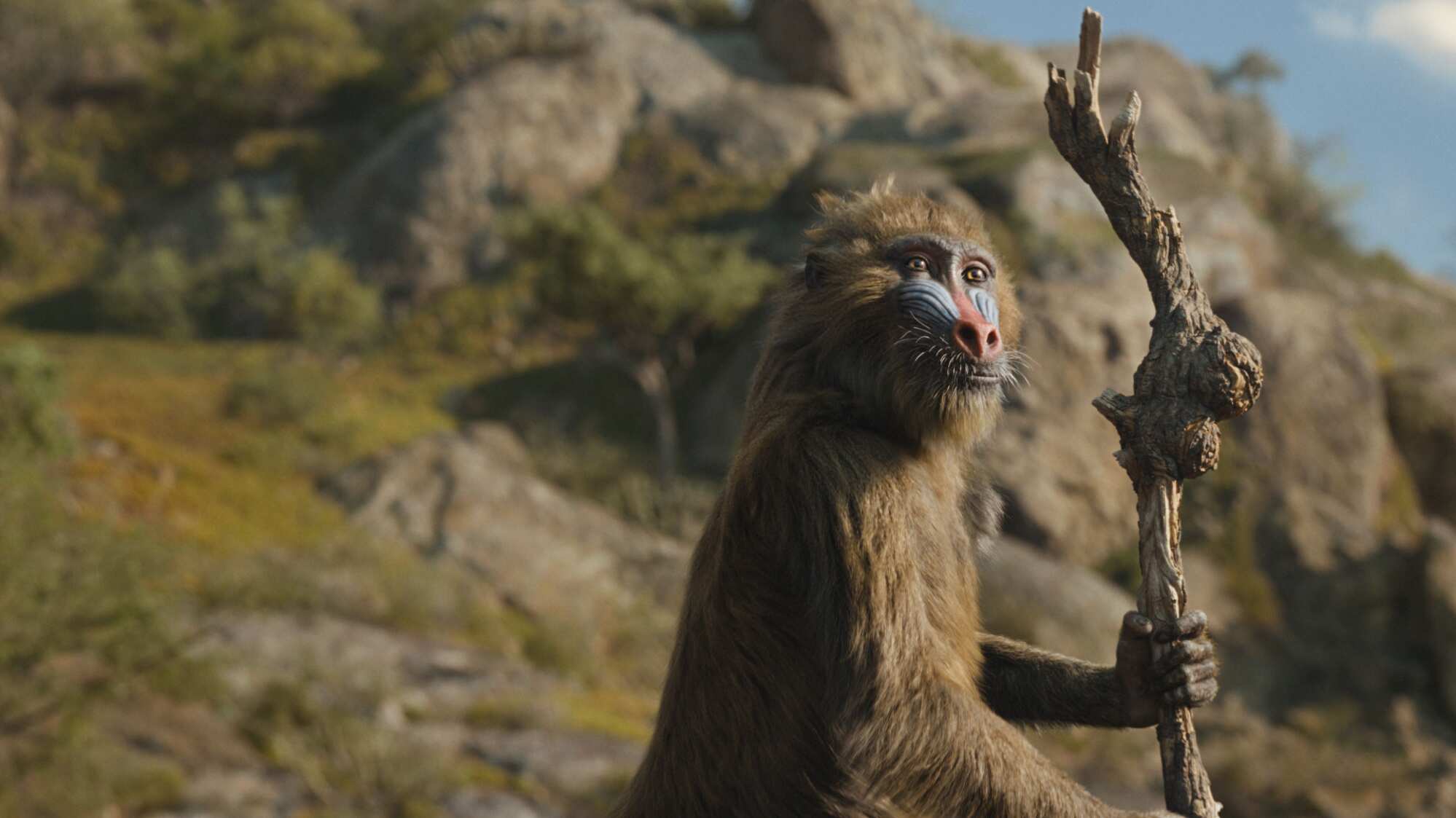Young Rafiki (voiced by Kagiso Lediga) live-action Disney’s MUFASA: THE LION KING. Photo courtesy of Disney. © 2024 Disney Enterprises Inc. All Rights Reserved.