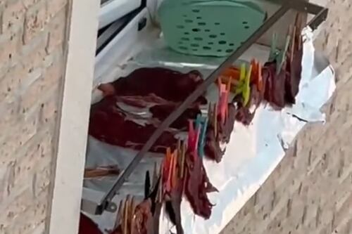 Mulher pendurou bifes como se fossem meias na sua varanda e tornou-se um sucesso viral