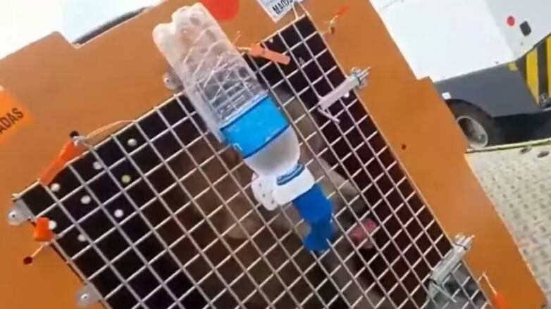 Caso é apurado pelas autoridades