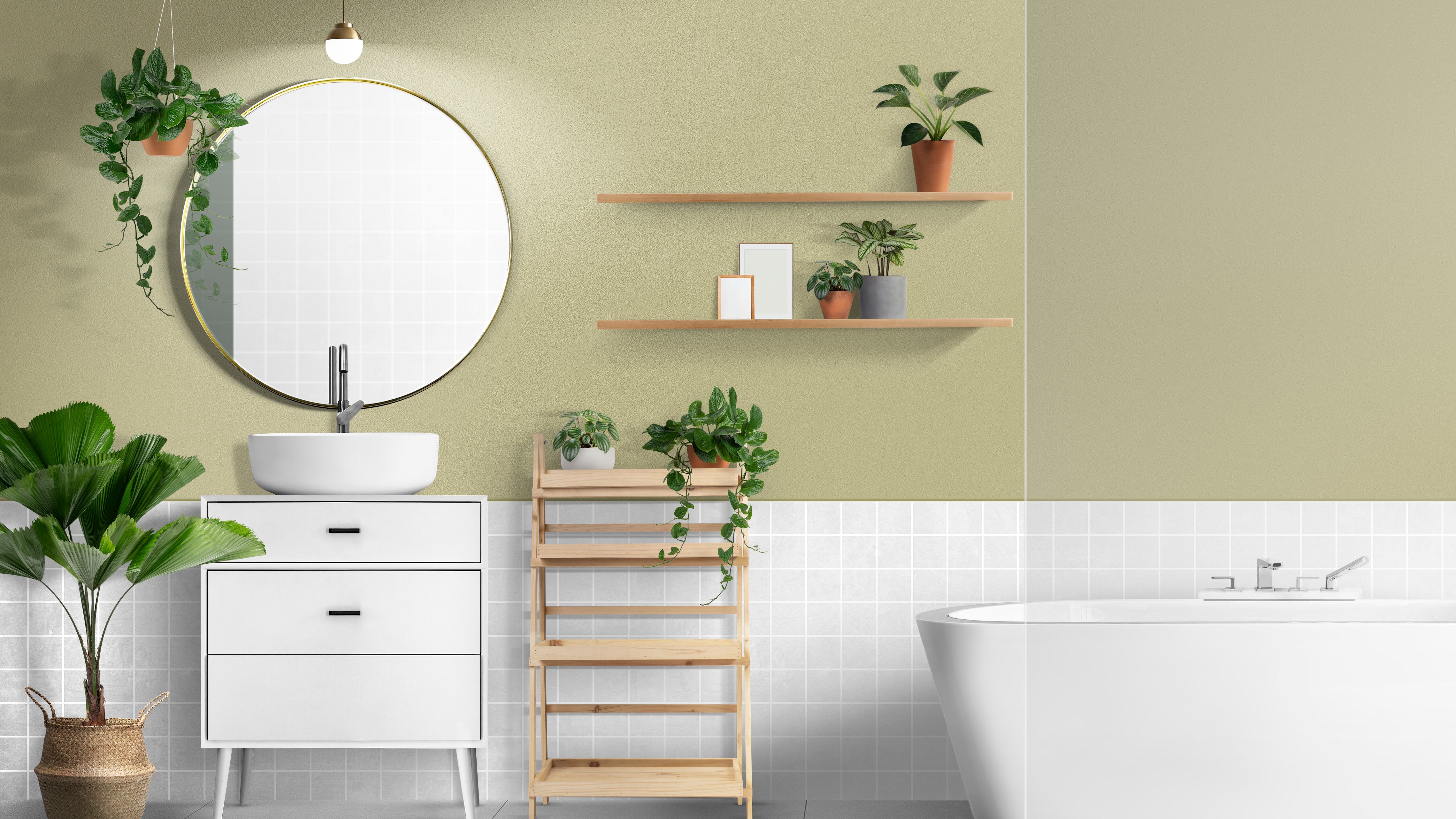 Veja as 5 melhores plantas para o seu banheiro