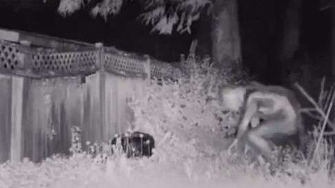 Supuesto extraterrestre en Texas